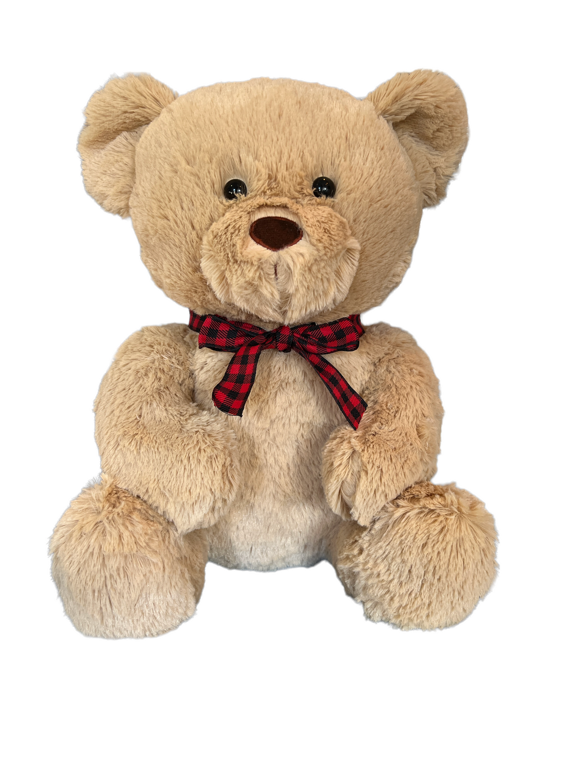 Plush 'In Loving Memory' Teddy Bear